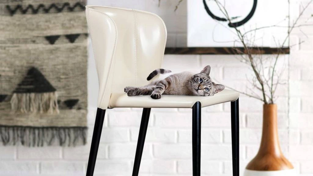 Стул палубарный Albert