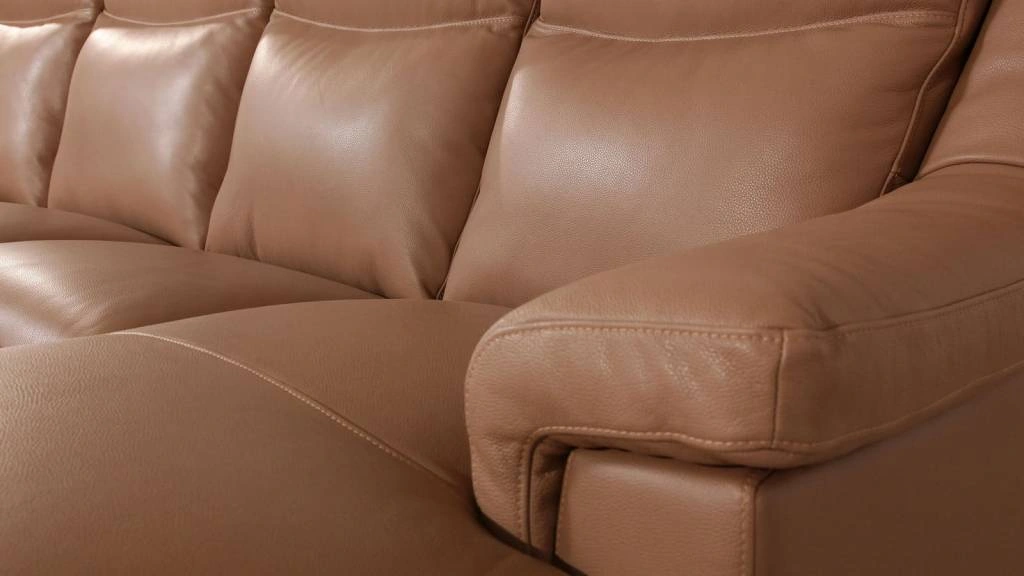 Диван из кожи Диван из кожи коричневый